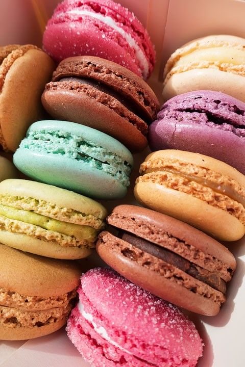 macaron